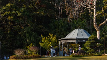 Set within a large lawn surrounded by trees, this classical styled gazebo is the focus of the playground. The style and mix of exotic and native plant species is reminiscent of the Victorian Era.